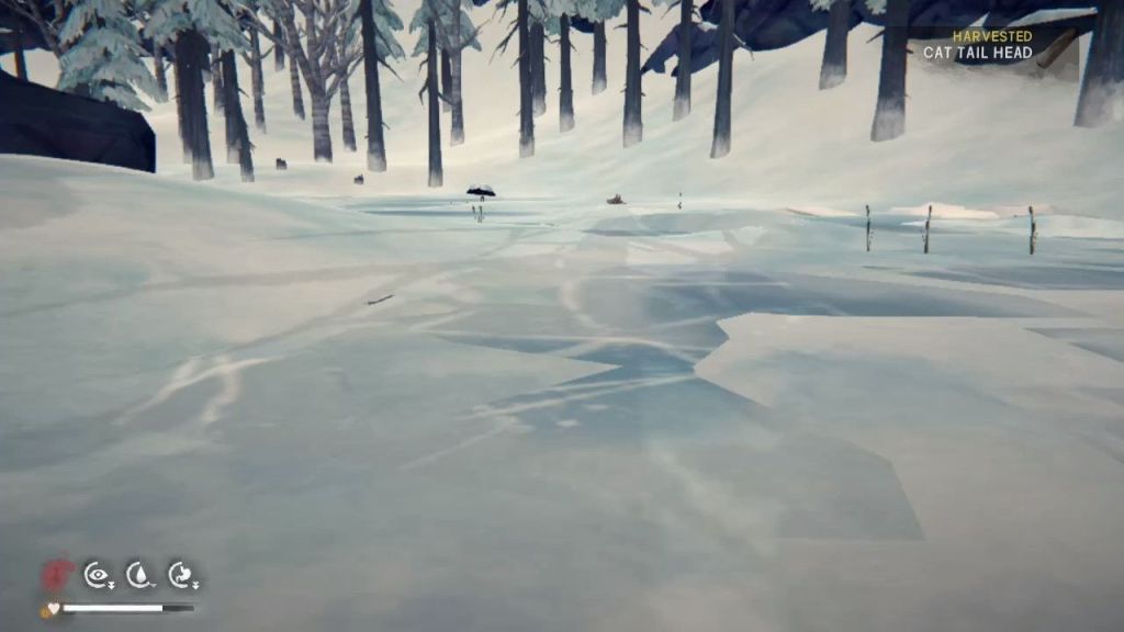 Deer carcass near the church